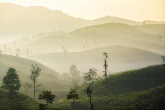 Getting groceries feels weird now Scenic view of misty green hills in Sukabumi, Indonesia, during sunrise.