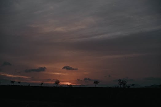 Watching parents get older changes how you think about money Captivating silhouette of trees against a dramatic sunset sky creating a serene landscape.